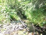 Culvert Crossing, Madawaska, Maine