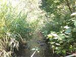 Culvert Crossing, Madawaska, Maine