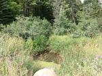 Culvert Crossing, Fort Kent, Maine