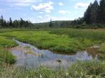 Culvert Crossing, Fort Kent, Maine