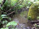 Multiple Culvert Crossing, Van Buren, Maine