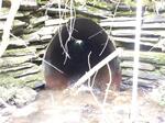 Culvert Crossing, Eagle Lake, Maine