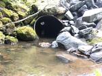 Culvert Crossing, Eagle Lake, Maine
