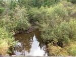 Bridge Crossing, T7 R16 WELS, Maine