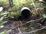 Culvert Crossing, T8 R16 WELS, Maine
