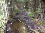 Culvert Crossing, T8 R16 WELS, Maine