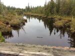 Bridge Crossing, T9 R18 WELS, Maine