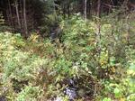 Culvert Crossing, T8 R16 WELS, Maine