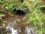 Culvert Crossing, T8 R16 WELS, Maine