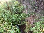 Culvert Crossing, T8 R16 WELS, Maine
