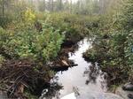 Culvert Crossing, T8 R17 WELS, Maine