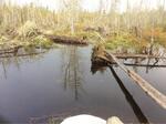 Culvert Crossing, T8 R17 WELS, Maine