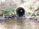 Culvert Crossing, Grand Isle, Maine