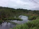 Culvert Crossing, Van Buren, Maine