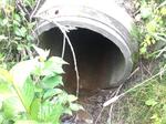 Culvert Crossing, Grand Isle, Maine