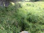 Culvert Crossing, Grand Isle, Maine