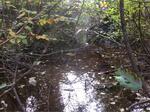 Culvert Crossing, T11 R16 WELS, Maine