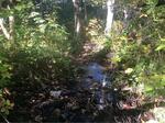 Culvert Crossing, T11 R16 WELS, Maine
