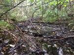 Culvert Crossing, T8 R16 WELS, Maine