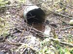 Culvert Crossing, T8 R16 WELS, Maine
