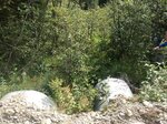 Multiple Culvert Crossing, T9 R18 WELS, Maine