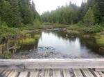 Bridge Crossing, T15 R9 WELS, Maine
