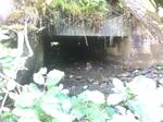 Culvert Crossing, Saint John Plt, Maine