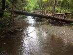 Culvert Crossing, Saint John Plt, Maine