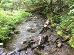 Culvert Crossing, Saint John Plt, Maine