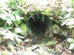 Culvert Crossing, Jay, Maine