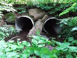 Multiple Culvert Crossing, T15 R9 WELS, Maine