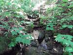 Multiple Culvert Crossing, T15 R9 WELS, Maine