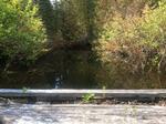 Bridge Crossing, T15 R9 WELS, Maine