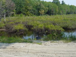 Culvert Crossing at Bog Hill, West Gardiner, Maine