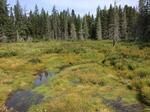 Culvert Crossing, T11 R17 WELS, Maine