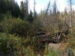 Culvert Crossing, T9 R18 WELS, Maine