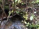 Multiple Culvert Crossing, T7 R16 WELS, Maine