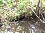 Multiple Culvert Crossing, T7 R16 WELS, Maine
