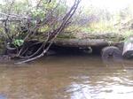 Multiple Culvert Crossing, T7 R16 WELS, Maine