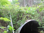 Culvert Crossing at Bog Rd, Benton, Maine