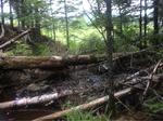 Culvert Crossing, Allagash, Maine