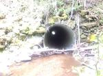 Culvert Crossing, Allagash, Maine