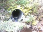 Culvert Crossing, Allagash, Maine