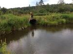 Culvert Crossing, Fort Kent, Maine