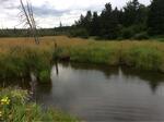 Culvert Crossing, Fort Kent, Maine