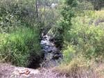Culvert Crossing, Eagle Lake, Maine