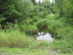 Culvert Crossing at Bog Rd, Benton, Maine