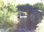 Culvert Crossing, Wallagrass, Maine