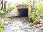 Culvert Crossing, Eagle Lake, Maine