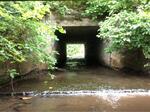 Culvert Crossing, Eagle Lake, Maine